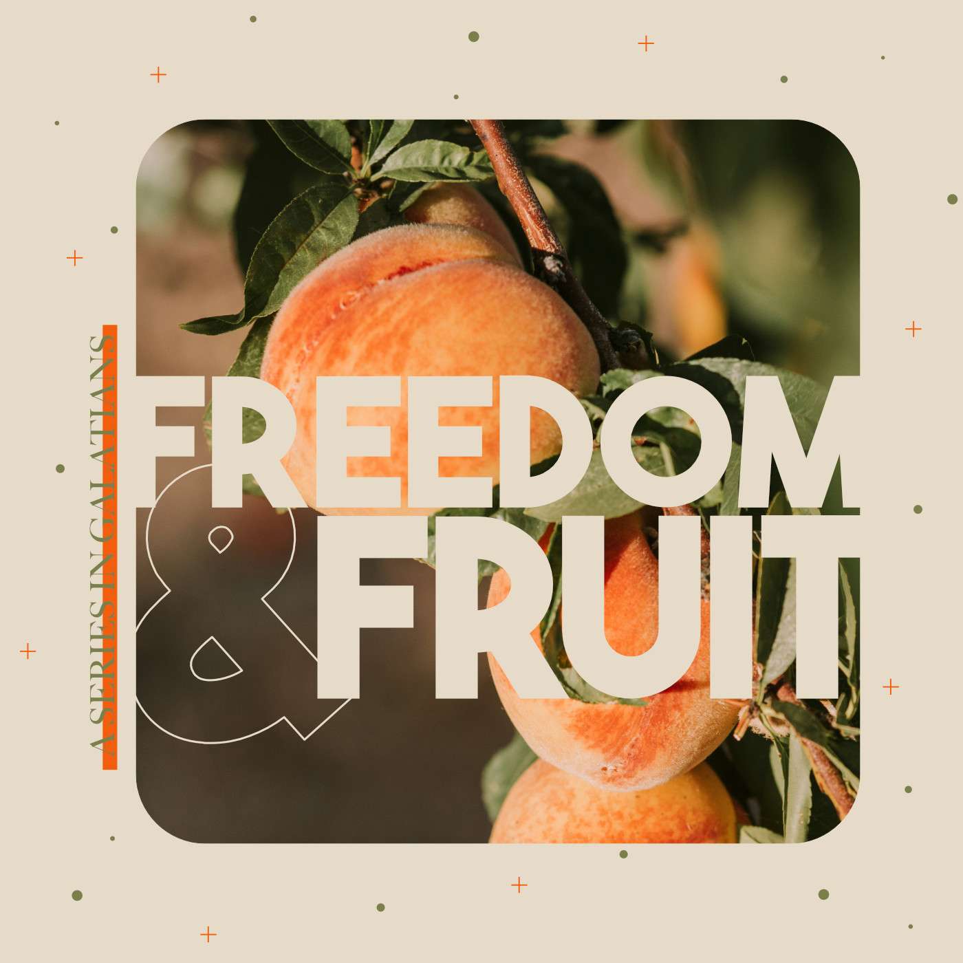Freedom & Fruit #1: Galatians 1:1-9 (14/9/25 pm) episode artwork