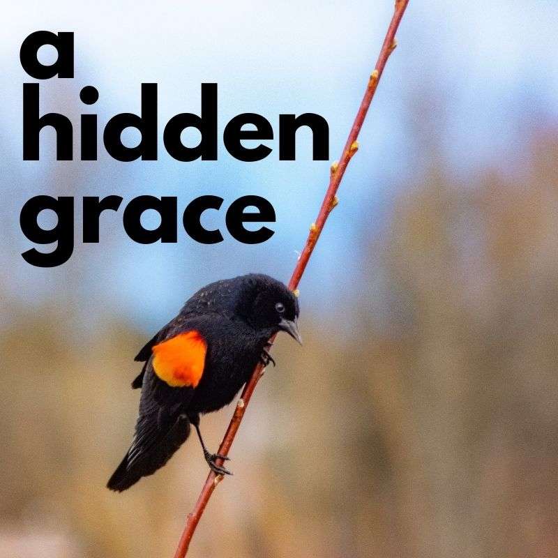 Something From Everything