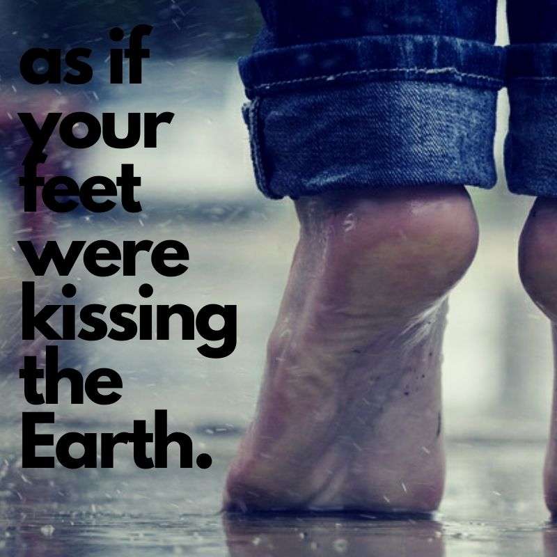 Something From Everything