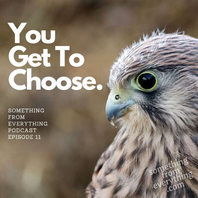 Something From Everything