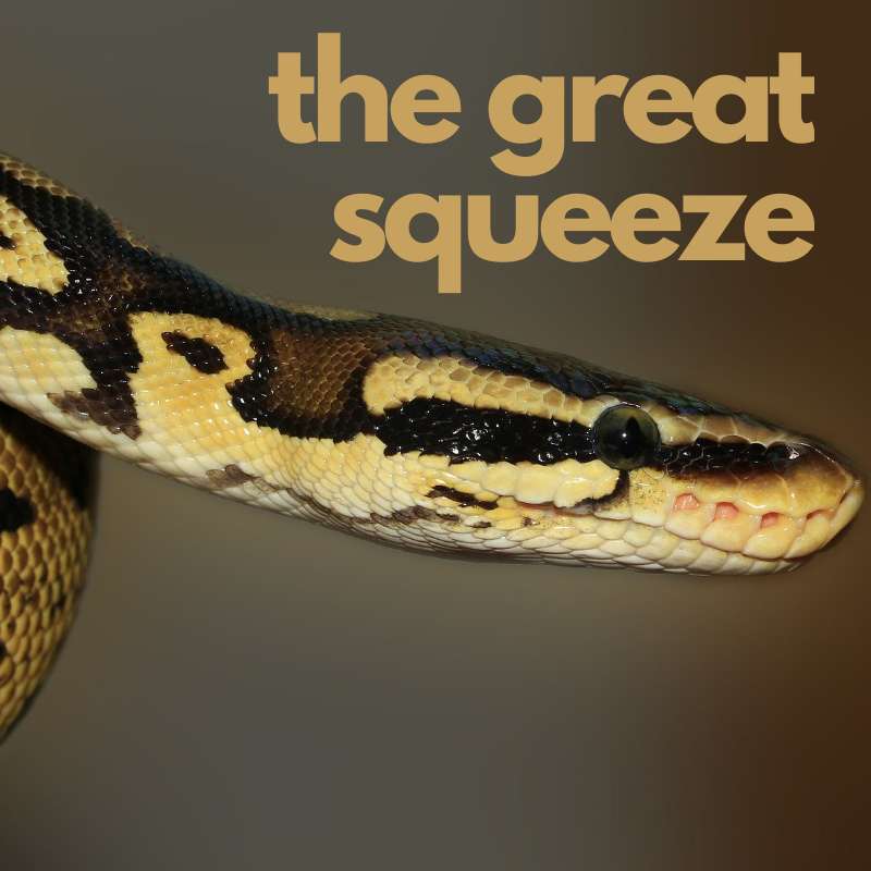 Something From Everything