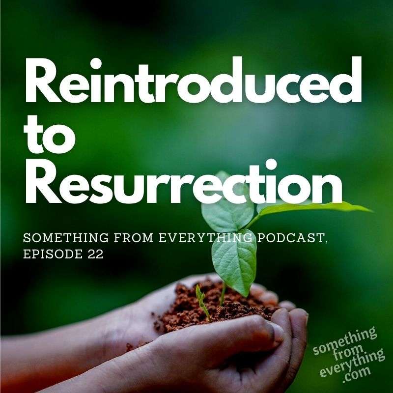 Something From Everything