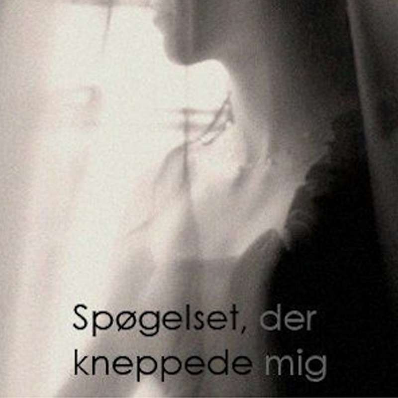 Spøgelset, der kneppede mig