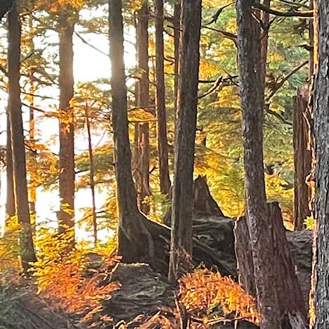 Refuge: Do You Hear a Climate Stronghold? Refuge: Do You Hear a Climate Stronghold?