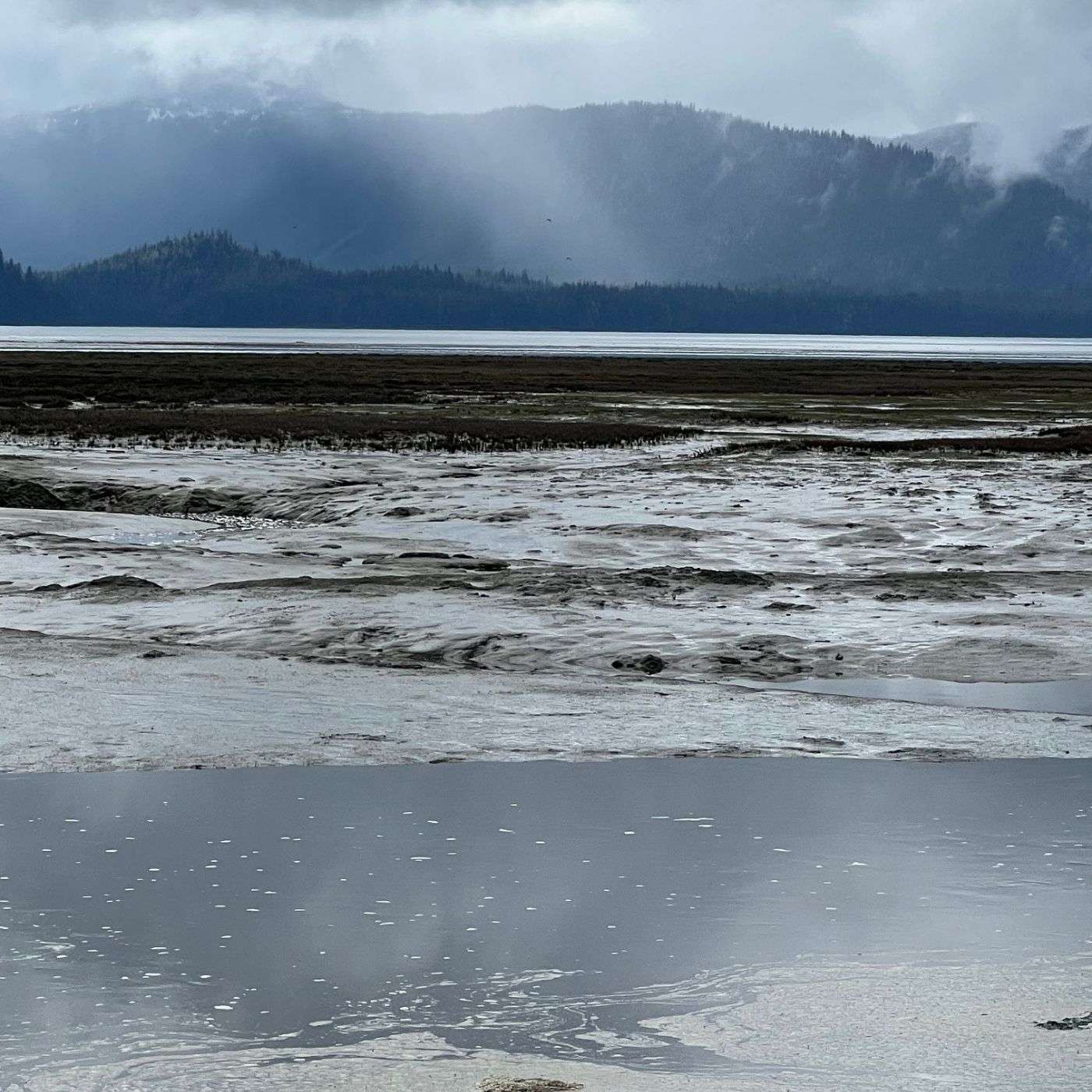 #14 – Joules of the Sea: The Hidden Lives of Hooligan #14 – Joules of the Sea: The Hidden Lives of Hooligan