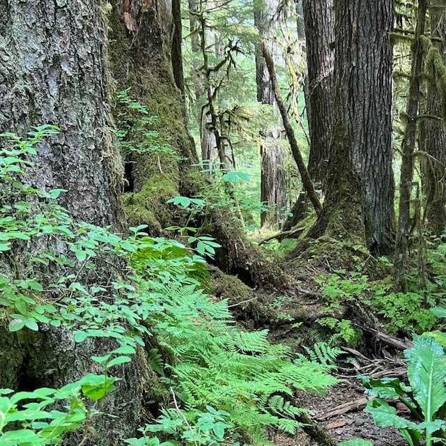 #4 – Carbon Sink: A Supply Box Yields Natural Climate Solutions #4 – Carbon Sink: A Supply Box Yields Natural Climate Solutions