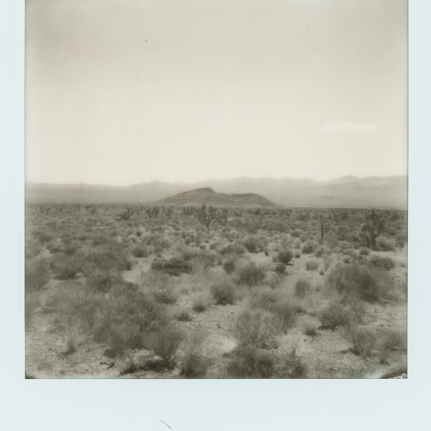 The Nevada and California Road Trip