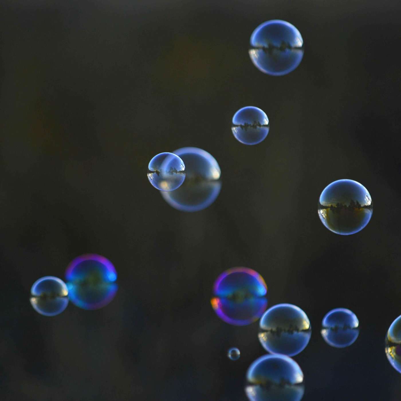 Bursting The Bubble