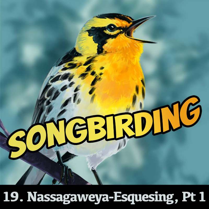 Nassagaweya-Esquesing Townline, Part 1
