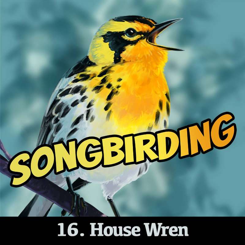 Songbirding: A Birding-by-ear Podcast