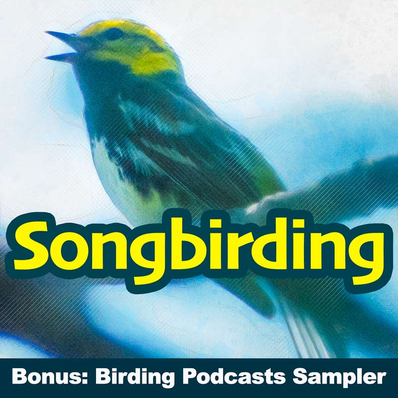 Birding Podcasts Sampler