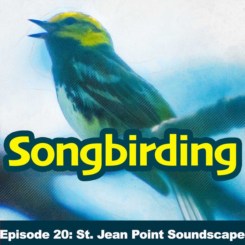 Songbirding