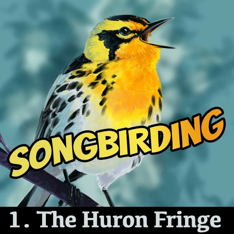 The Huron Fringe