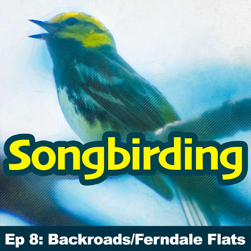 S1E8 - Backroads of the Ferndale Flats