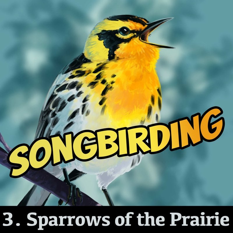 Sparrows of the Prairie