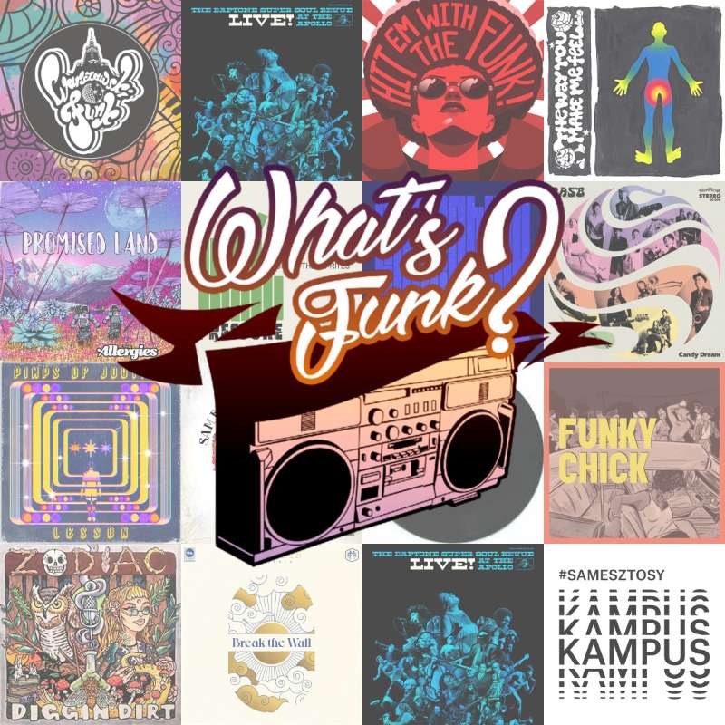 What\'s Funk? by Warszawski Funk