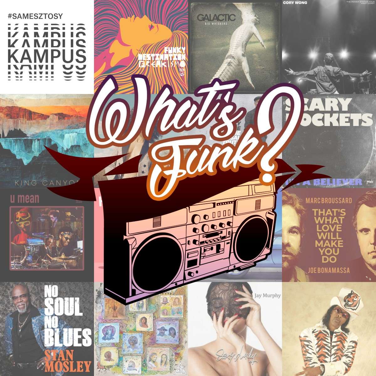 What\'s Funk? by Warszawski Funk