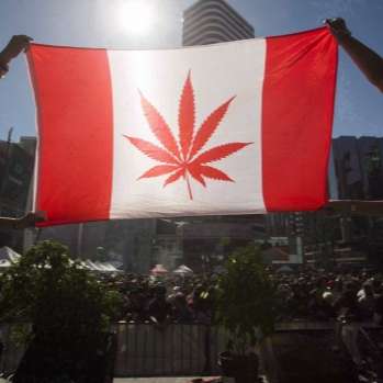 Legalization? More Like Personification