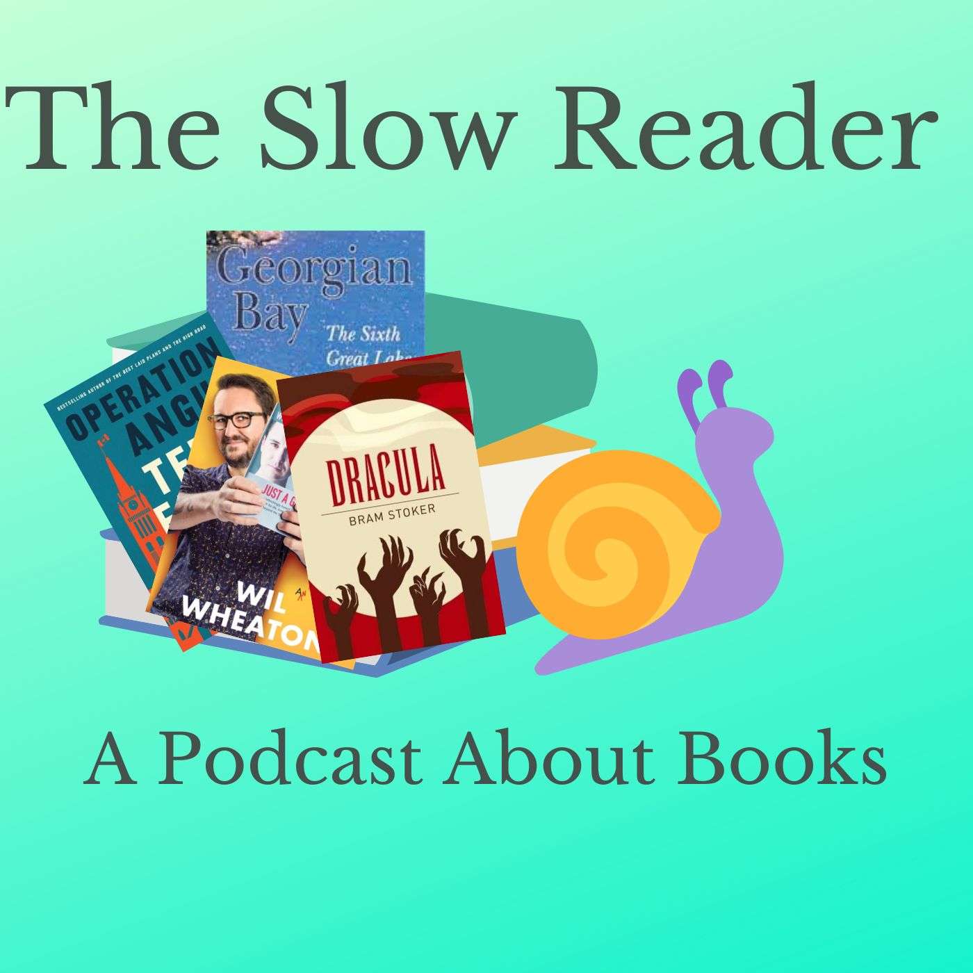 The Slow Reader