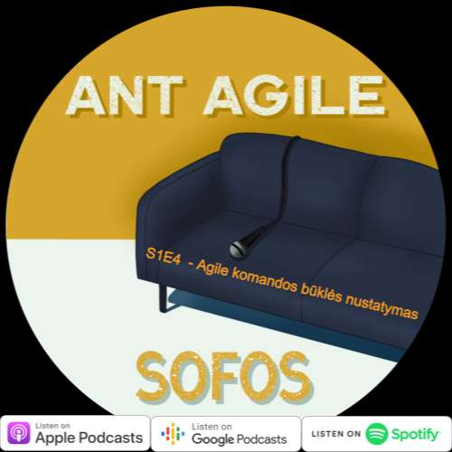 S1:E4 – Agile komandos būklės nustatymas episode artwork