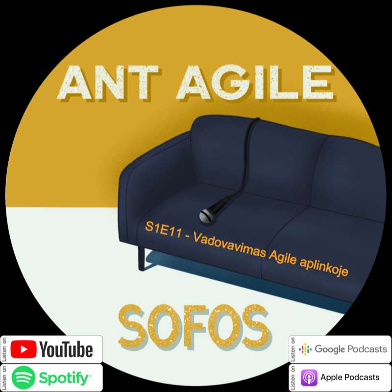 S1:E11 – Vadovavimas Agile aplinkoje episode artwork