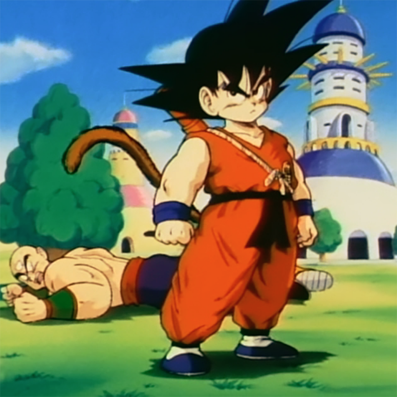Kame House Party - A Dragon Ball Comedy Podcast