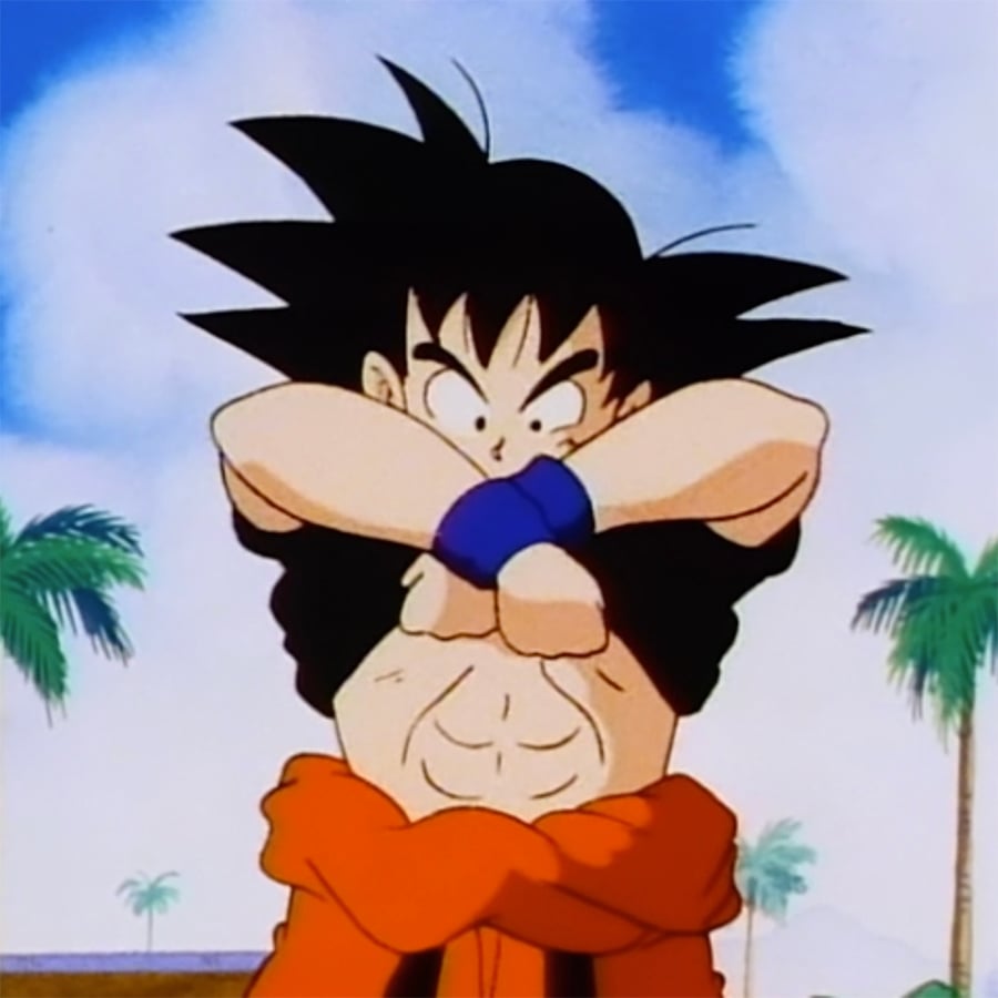 Kame House Party - A Dragon Ball Comedy Podcast