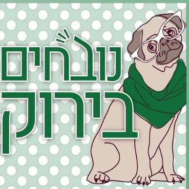 פרק 539 - מתכוננים לסבאח - עם נציג אופ פרק 539 - מתכוננים לסבאח - עם נציג אופ