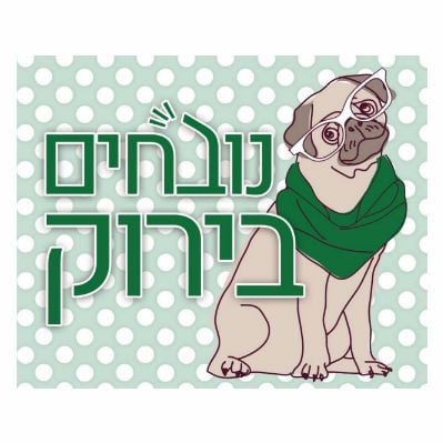 פרק 445 - איגור וסטאס נובחים בירוק – פודקאסט לאוהדי מכבי חיפה פרק 445 - איגור וסטאס