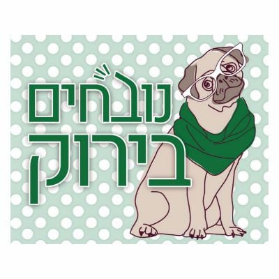 פרק 436 - פותחים את הליגה ברגל ימין נובחים בירוק – פודקאסט לאוהדי מכבי חיפה פרק 436 - פותחים את הליגה ברגל ימין