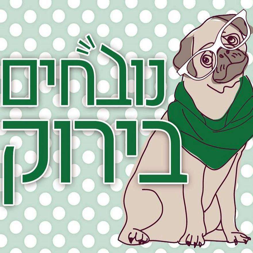 פרק 492 - צ'יפיירו נובחים בירוק – פודקאסט לאוהדי מכבי חיפה פרק 492 - צ'יפיירו