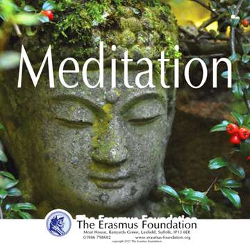 Visualisations from The Erasmus Foundation