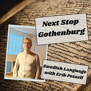 The history of the Swedish language