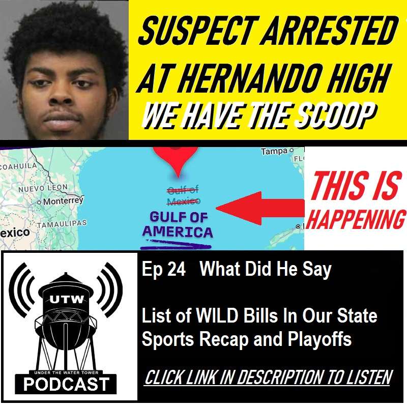 Ep 24 What Did He Say