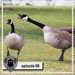 Talk To Me Goose