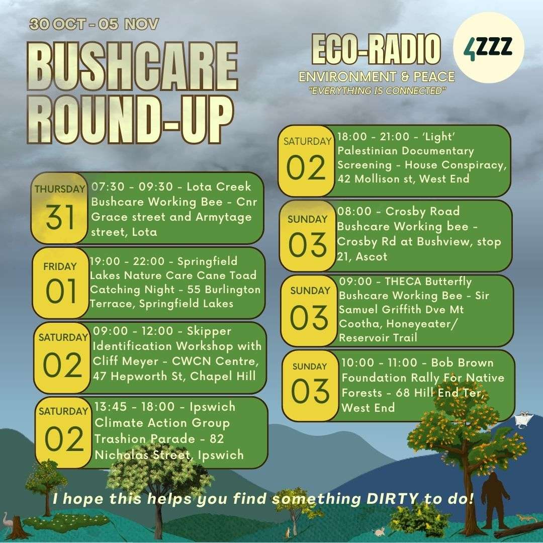 Eco Radio