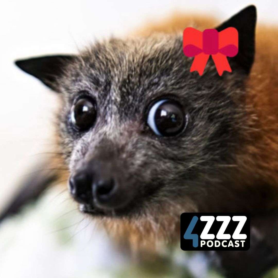 Eco Radio