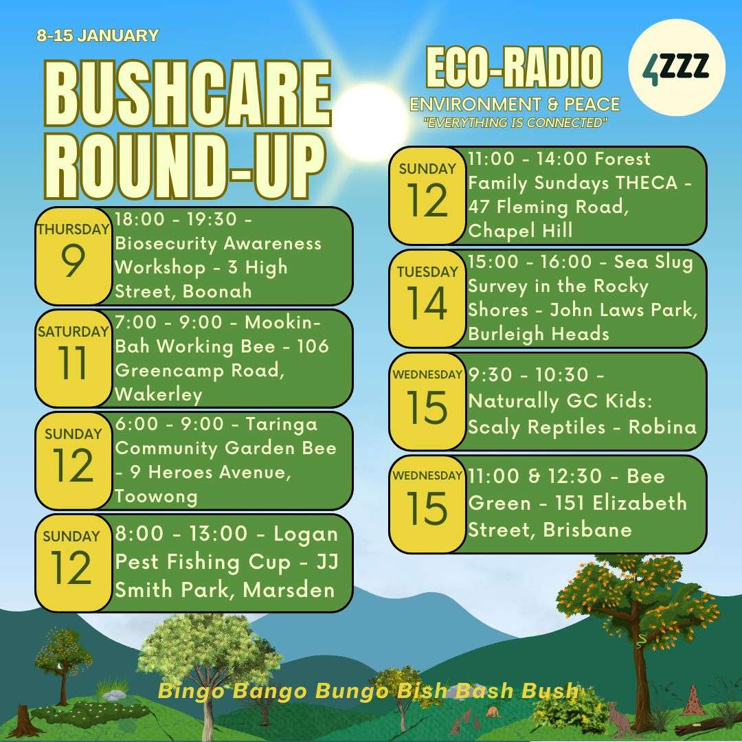Eco Radio