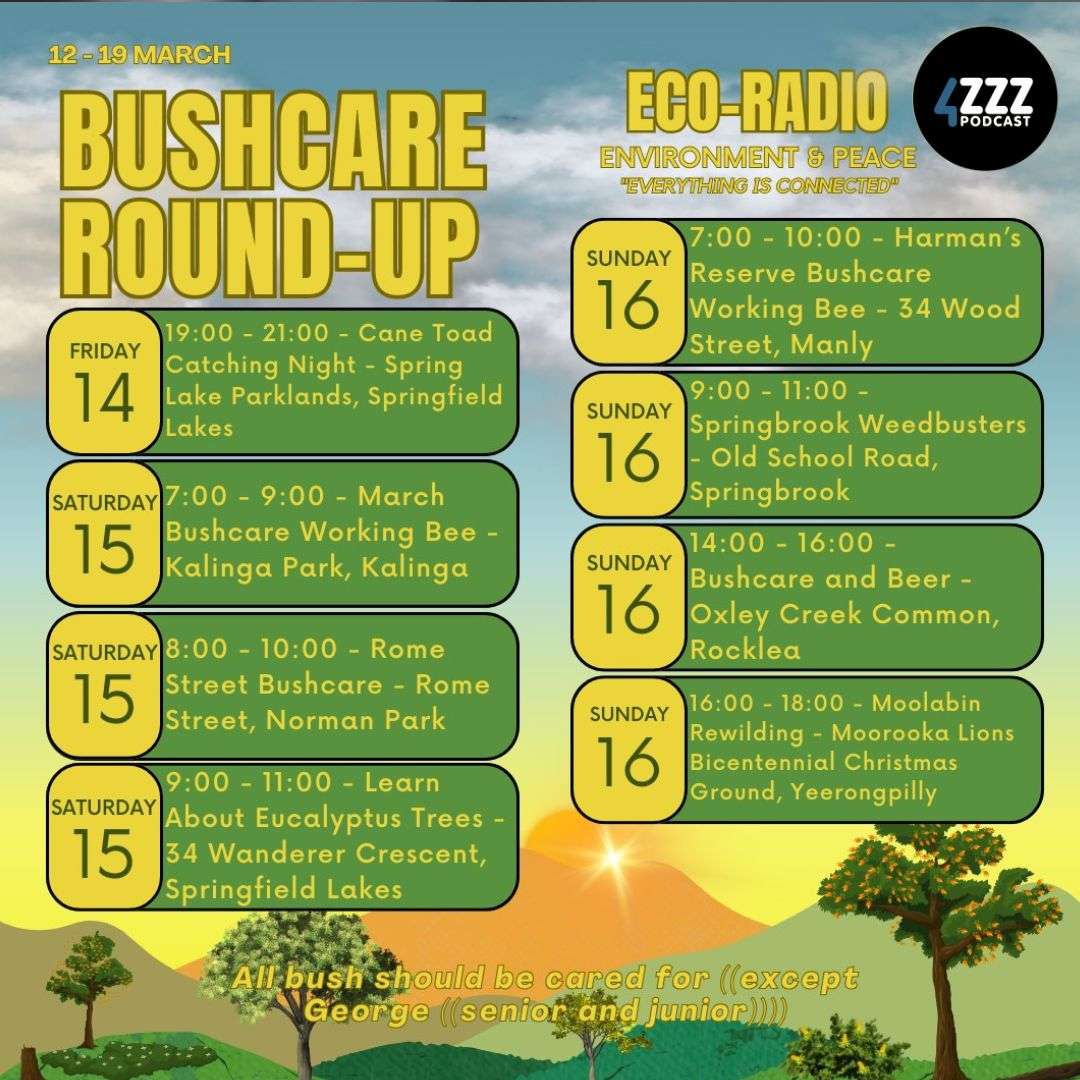 Eco Radio