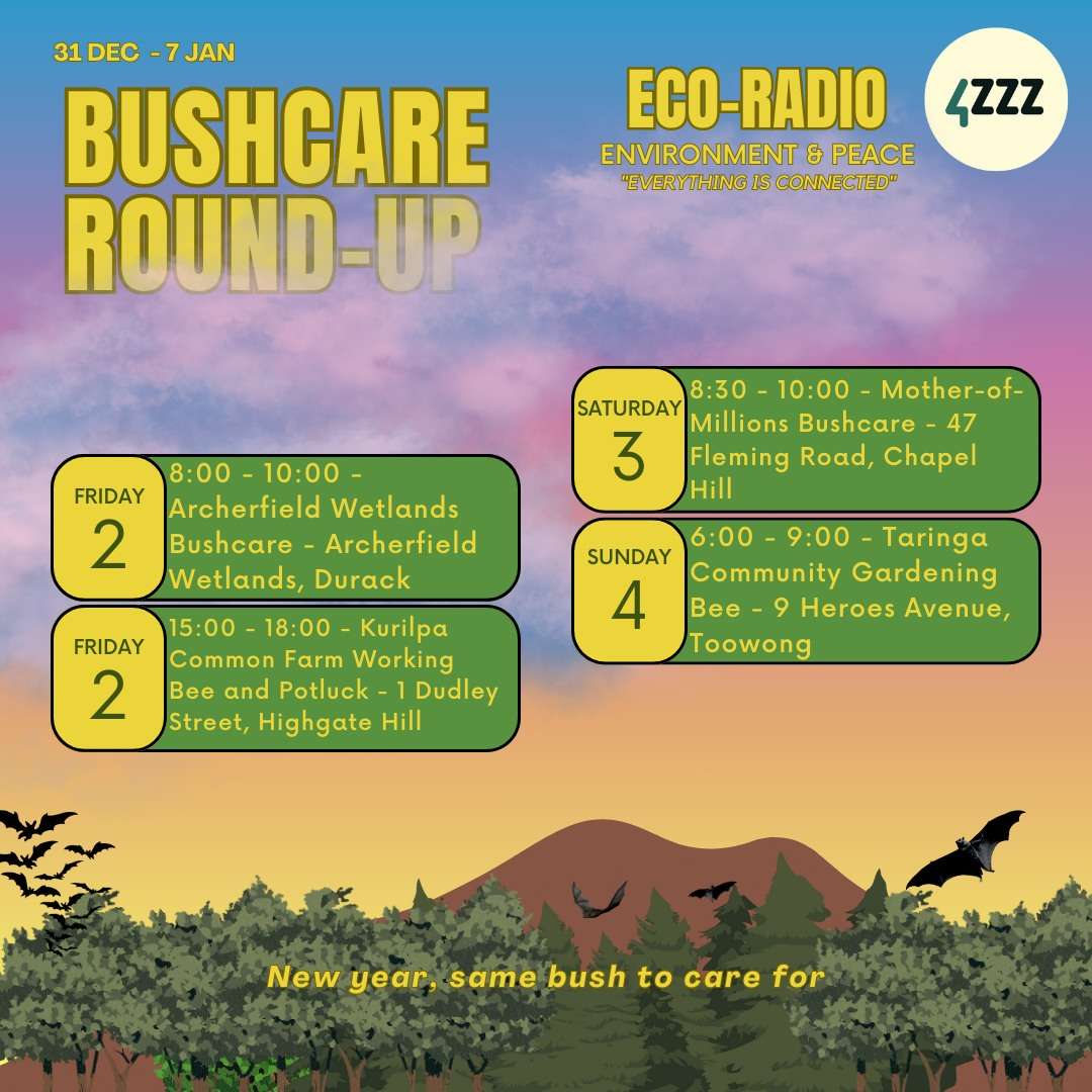 West Papua w/ Andreas Harsono