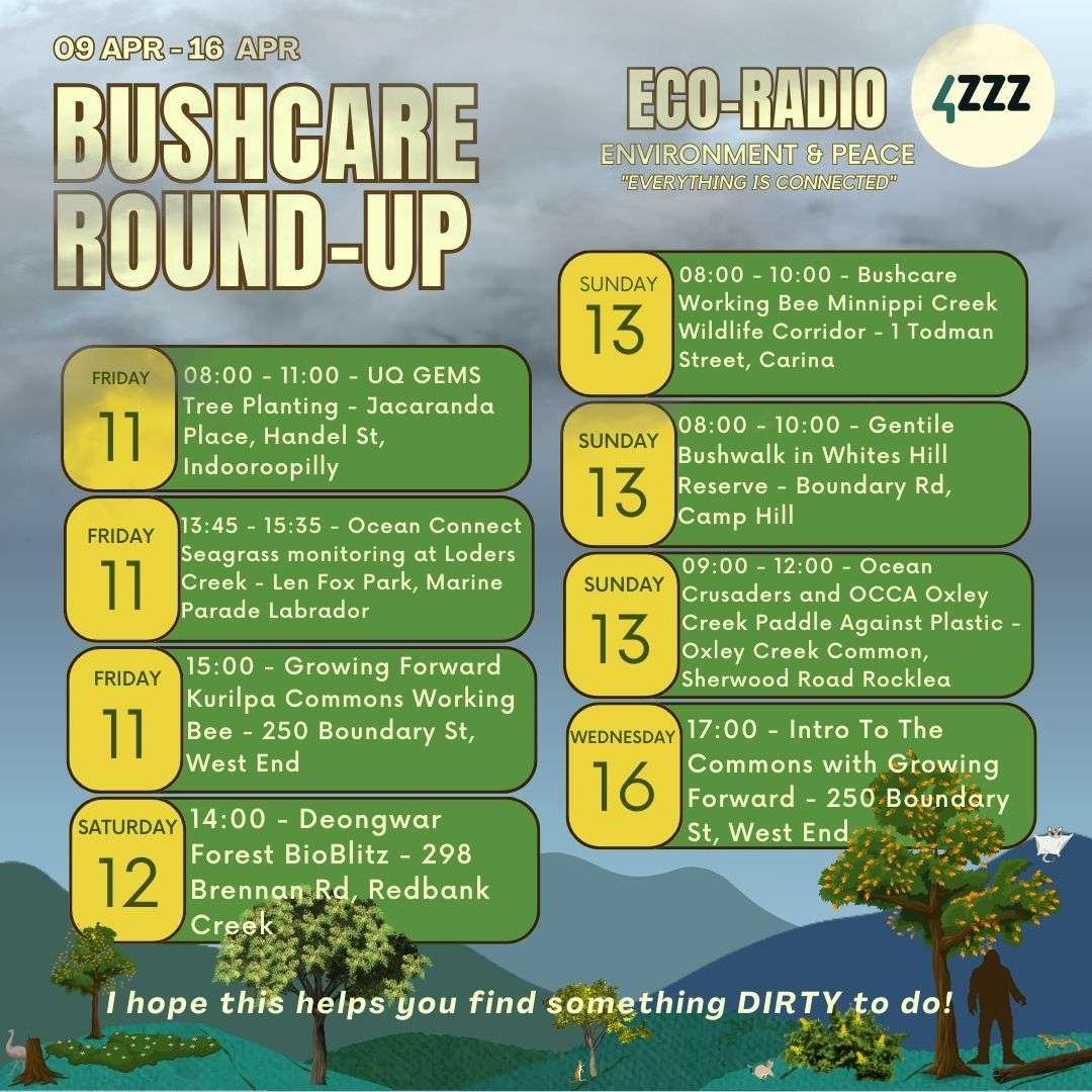 Eco Radio