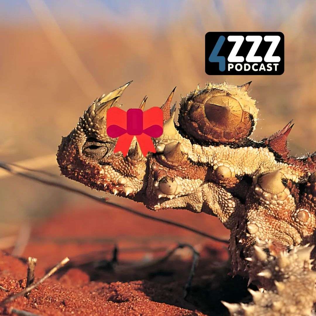 Eco Radio