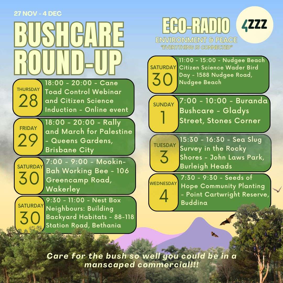 Eco Radio
