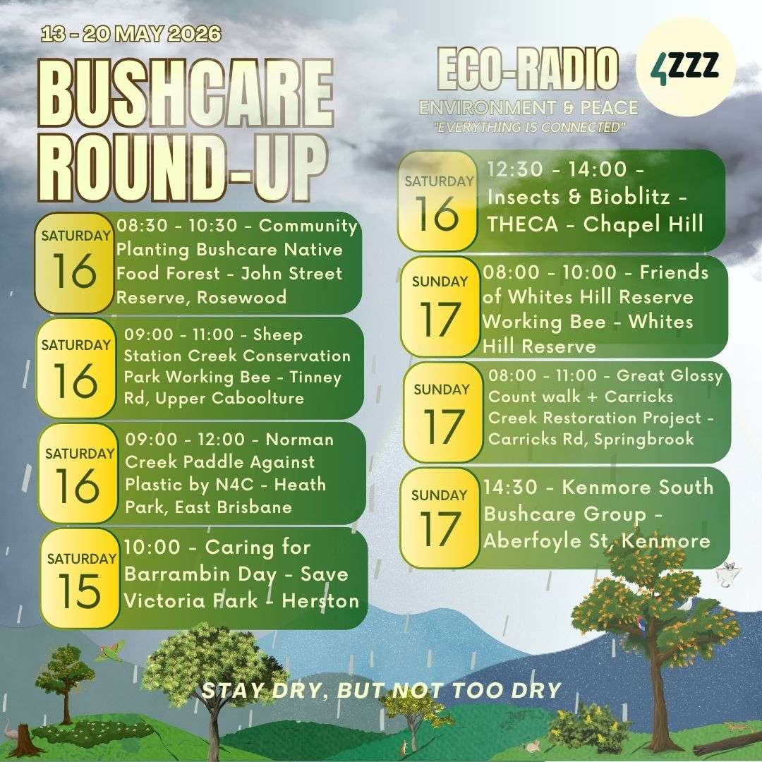 Queensland Renewable Energy Council episode artwork
