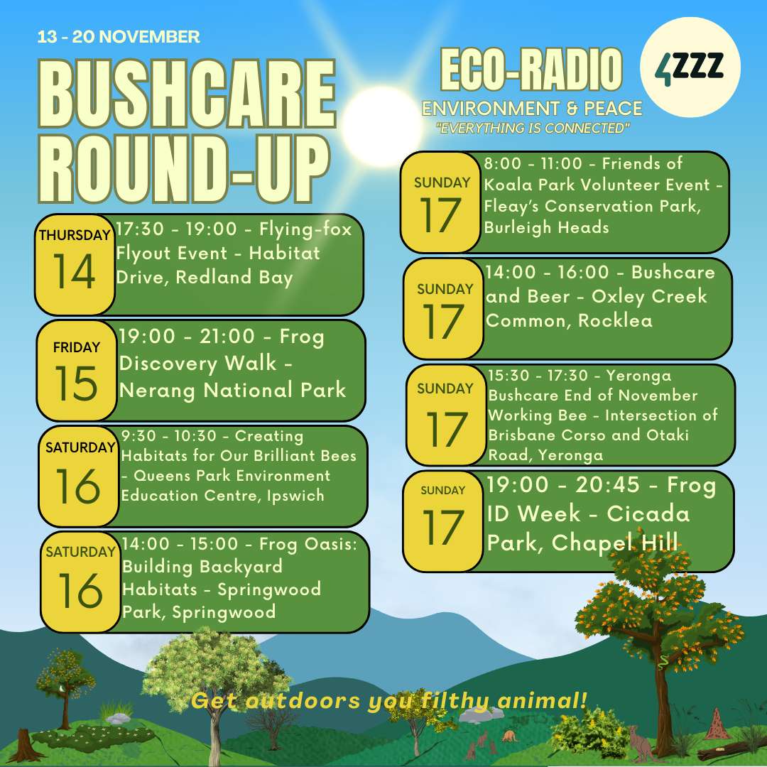 Eco Radio