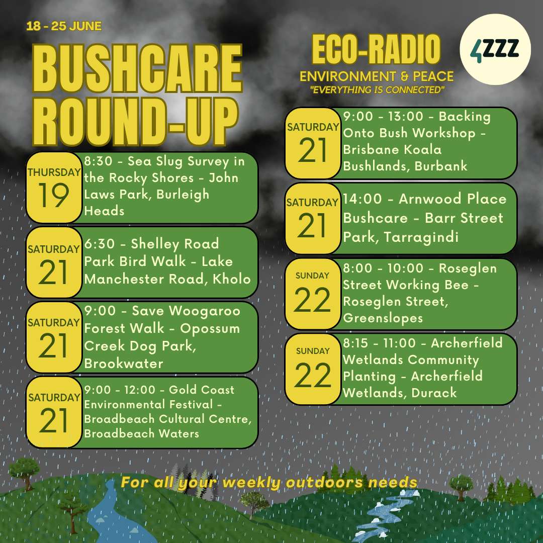Eco Radio