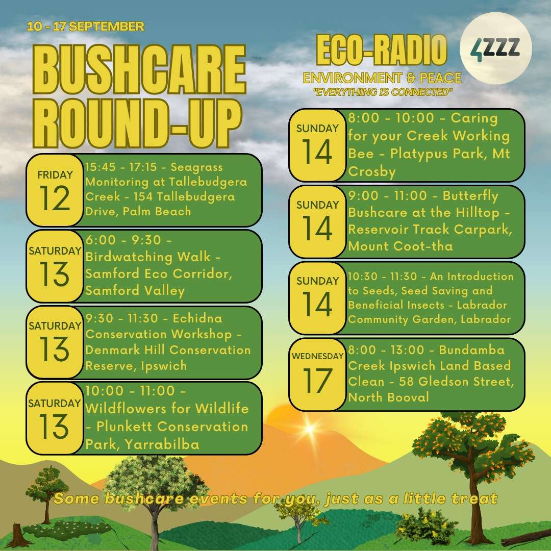 Eco Radio