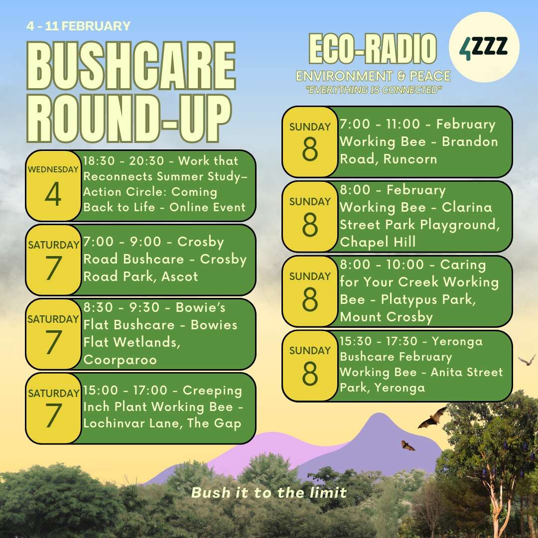 Rebecca Appleton - Bat Conservation and Rescue Queensland episode artwork