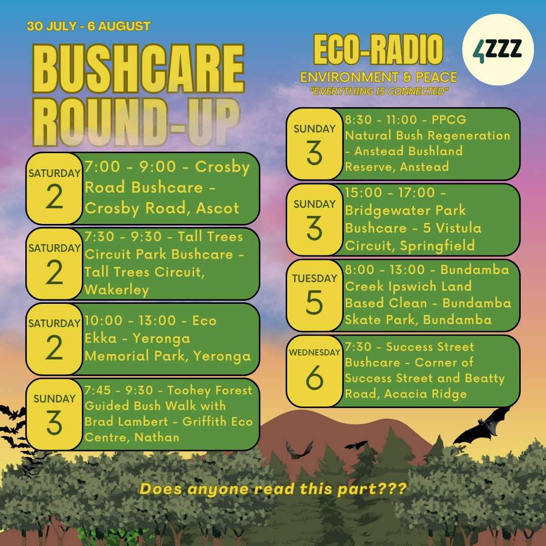 Eco Ekka