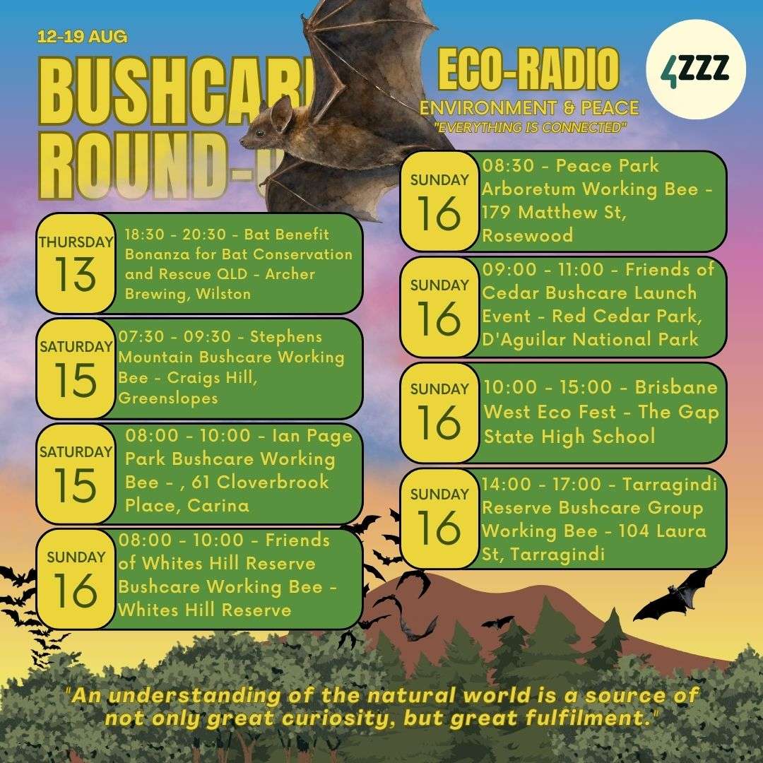 Bat Conservation & Rescue w/ Bec Appleton